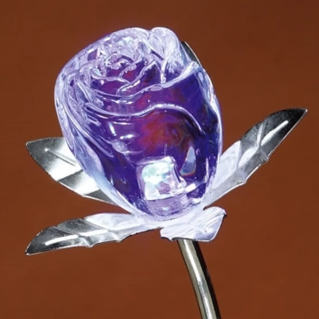 Rose changement de couleur