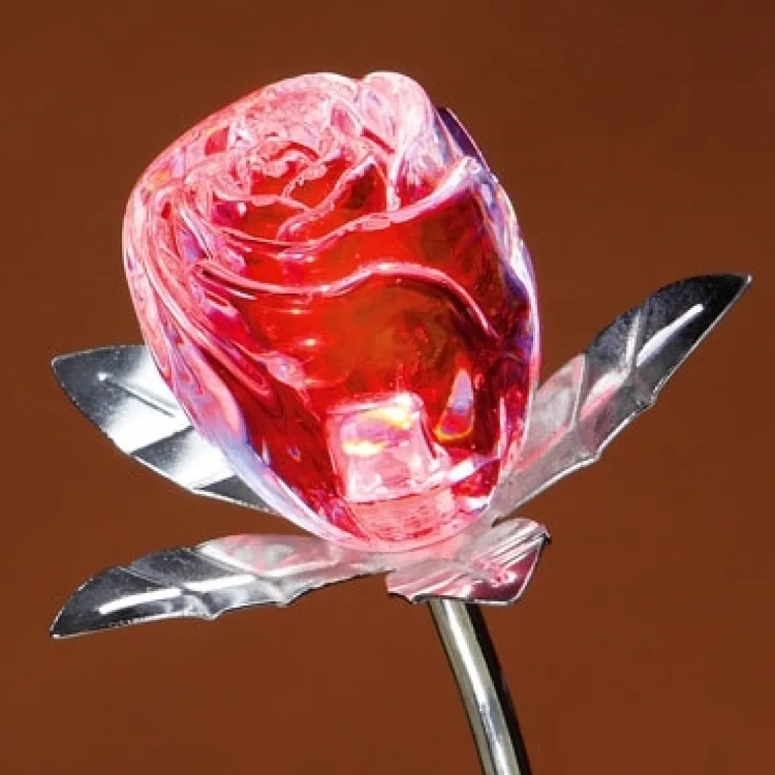 Rose changement de couleur