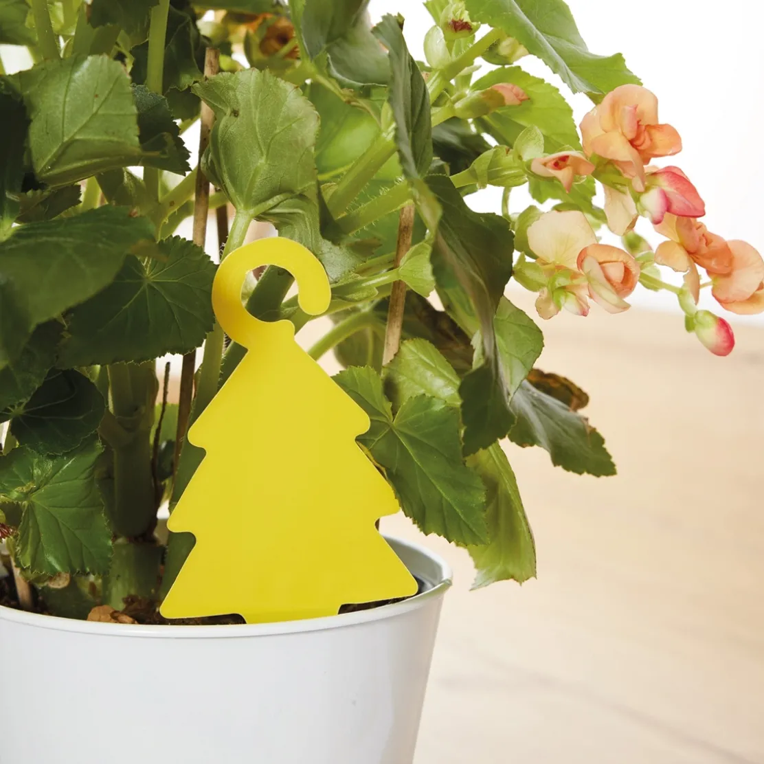 Stop aux moucherons !