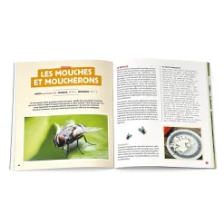 Stratégie anti-bestioles à la maison