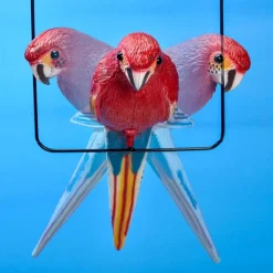 Suspension perroquet