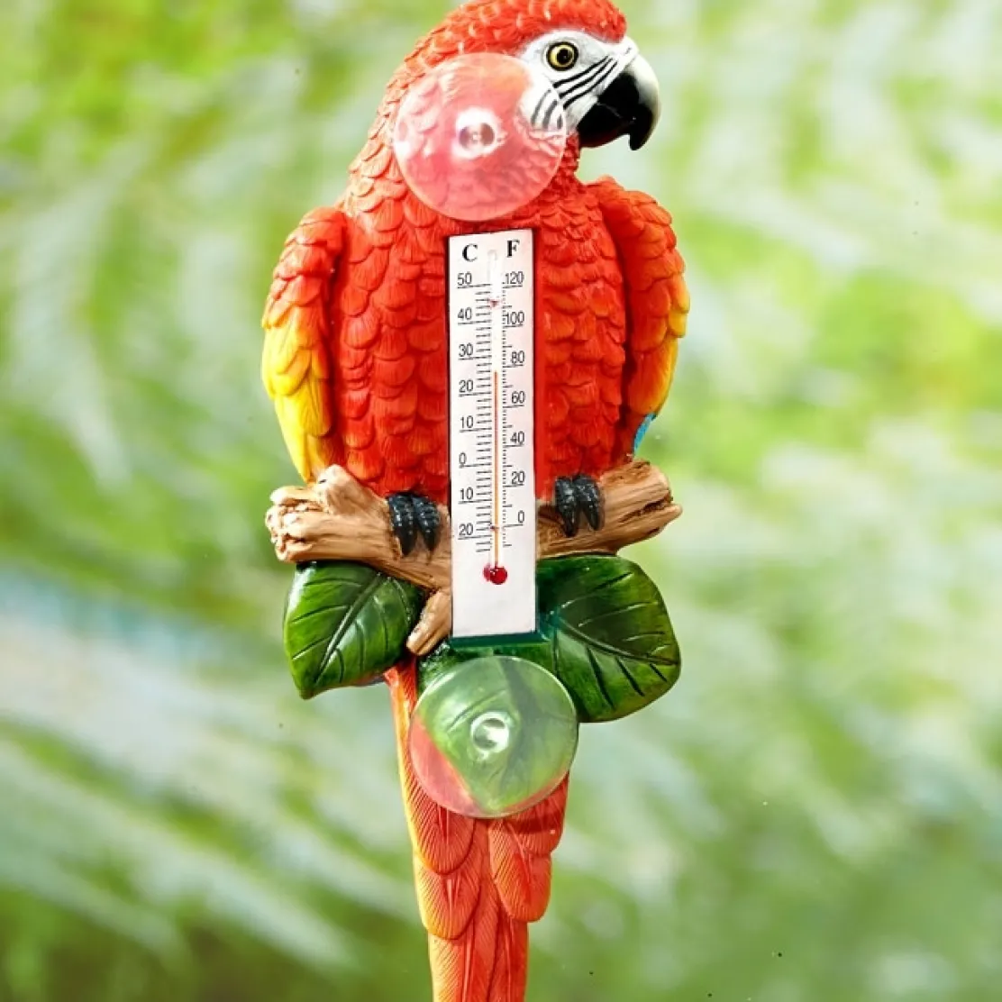 Thermomètre perroquet